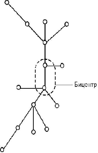 Файл:Bicenter tree.jpg